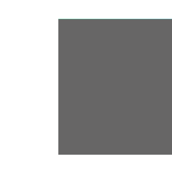 Layer